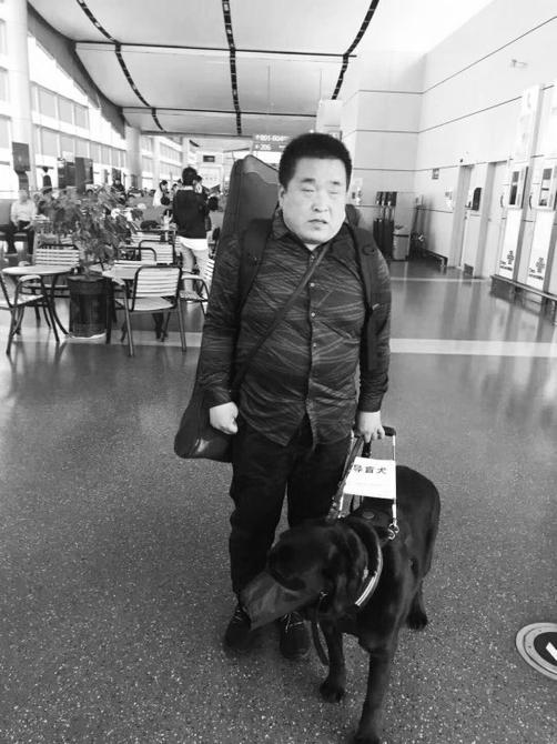 导盲犬最新进展，探索为盲人指引光明之路
