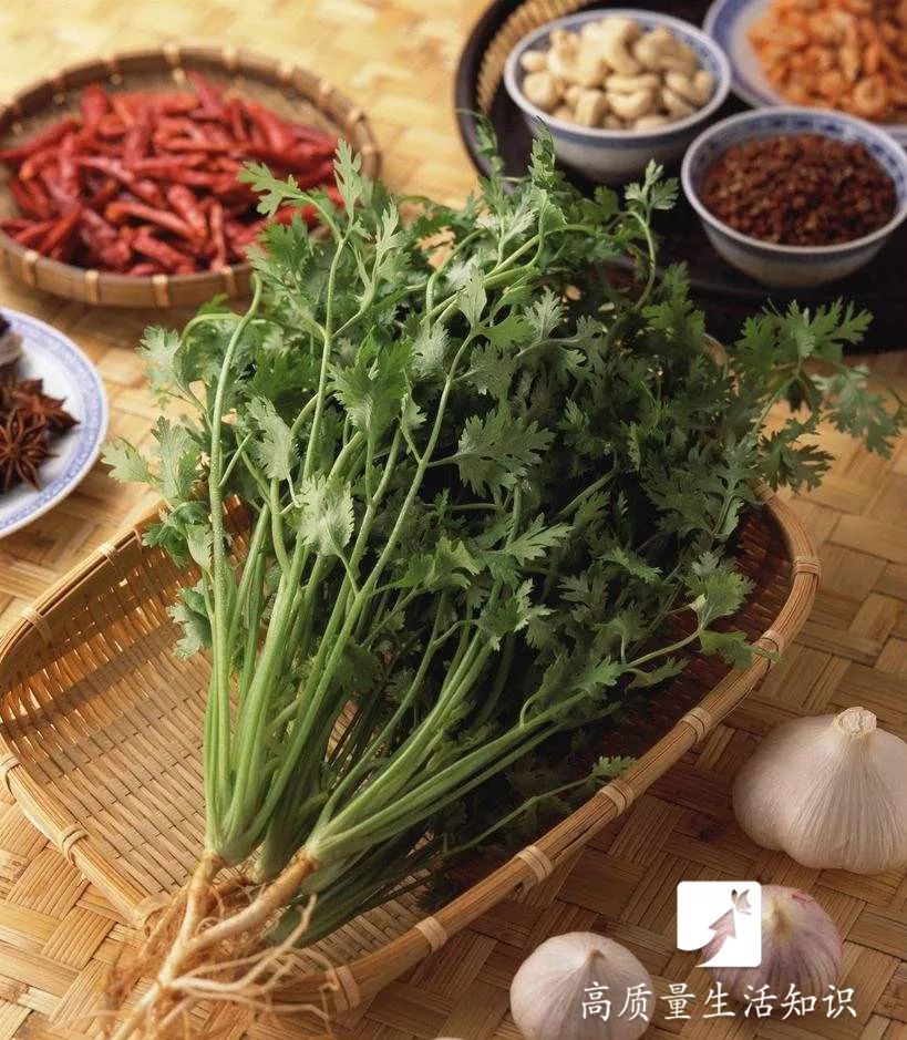 小巷中的秘密美食之旅，探寻最新香菜美食之旅