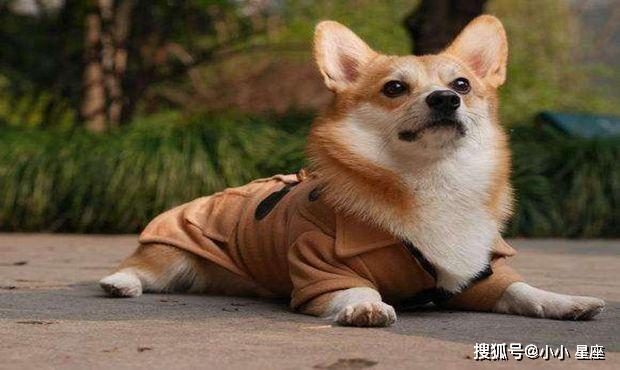 正反分析与个人立场探讨